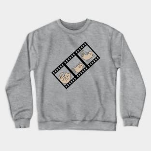 Cat slide three frames photography Crewneck Sweatshirt